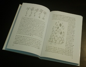 Photo of the content of the book